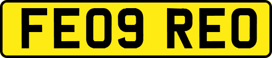 FE09REO