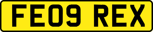 FE09REX