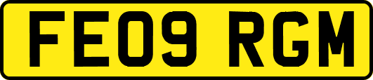 FE09RGM