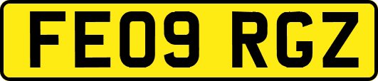 FE09RGZ