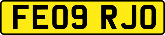 FE09RJO