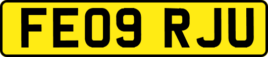 FE09RJU