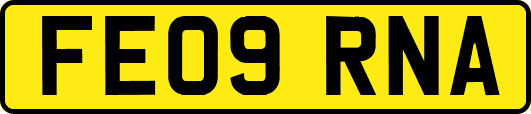 FE09RNA
