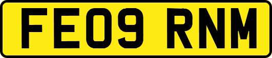 FE09RNM