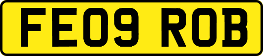 FE09ROB