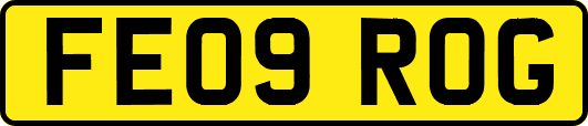 FE09ROG