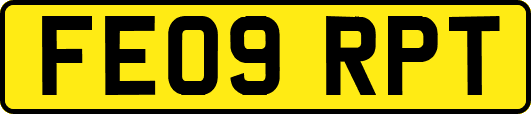 FE09RPT