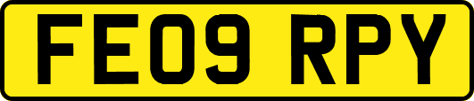 FE09RPY