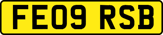 FE09RSB