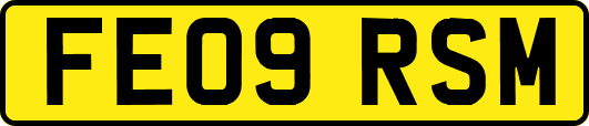 FE09RSM
