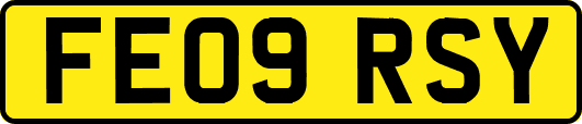 FE09RSY