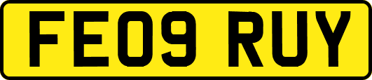 FE09RUY
