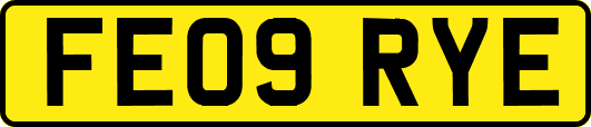 FE09RYE