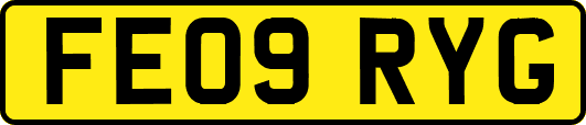 FE09RYG