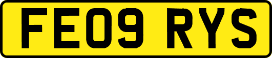 FE09RYS