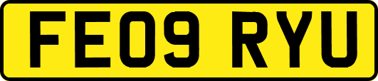FE09RYU