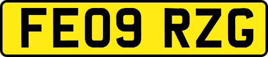 FE09RZG