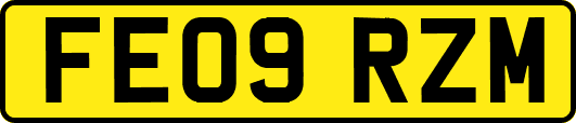 FE09RZM