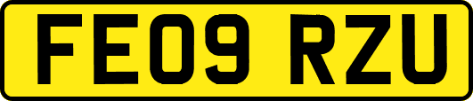 FE09RZU