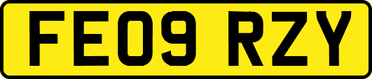 FE09RZY