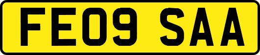 FE09SAA