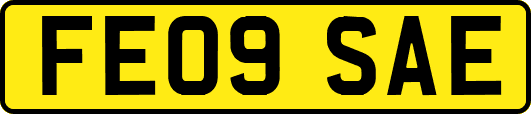 FE09SAE
