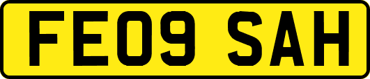 FE09SAH
