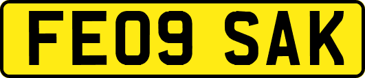 FE09SAK