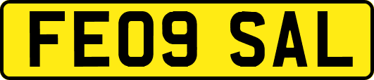 FE09SAL