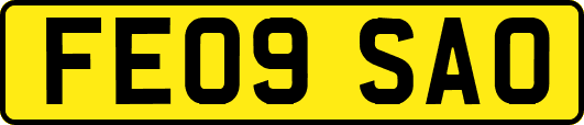 FE09SAO