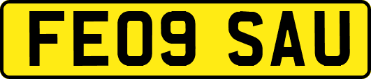 FE09SAU