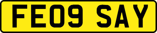 FE09SAY