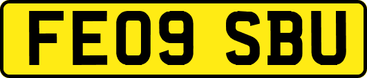 FE09SBU