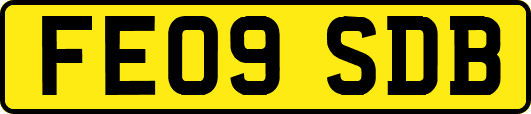 FE09SDB