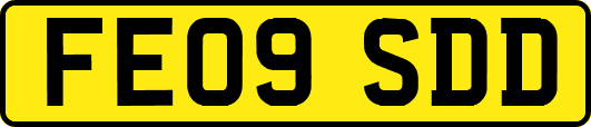 FE09SDD