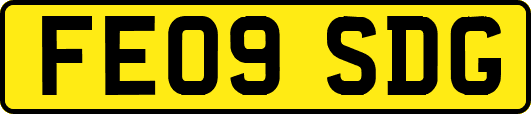 FE09SDG