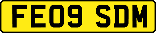 FE09SDM