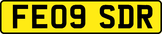 FE09SDR