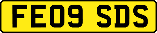 FE09SDS