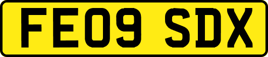 FE09SDX