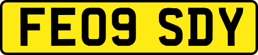 FE09SDY