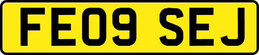 FE09SEJ