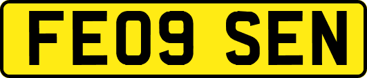 FE09SEN