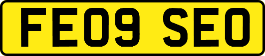 FE09SEO