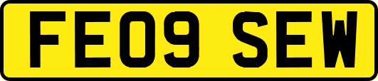 FE09SEW