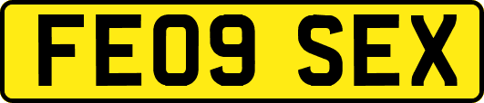 FE09SEX