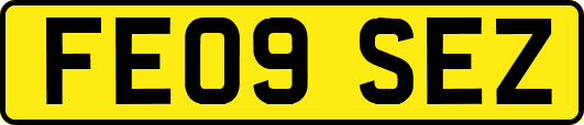 FE09SEZ