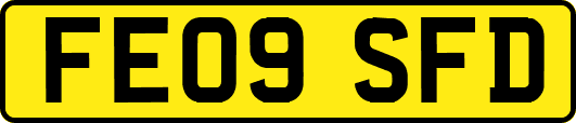 FE09SFD