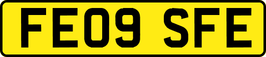FE09SFE