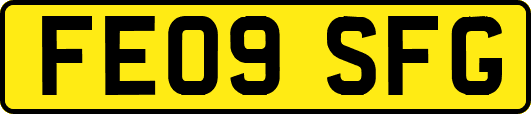 FE09SFG